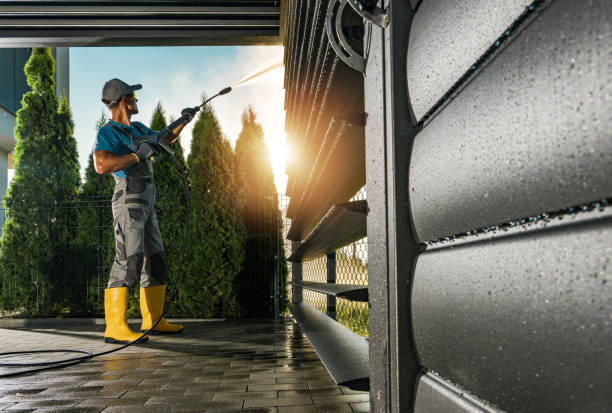 Best Solar Panel Cleaning  in Napili Honokowai, HI